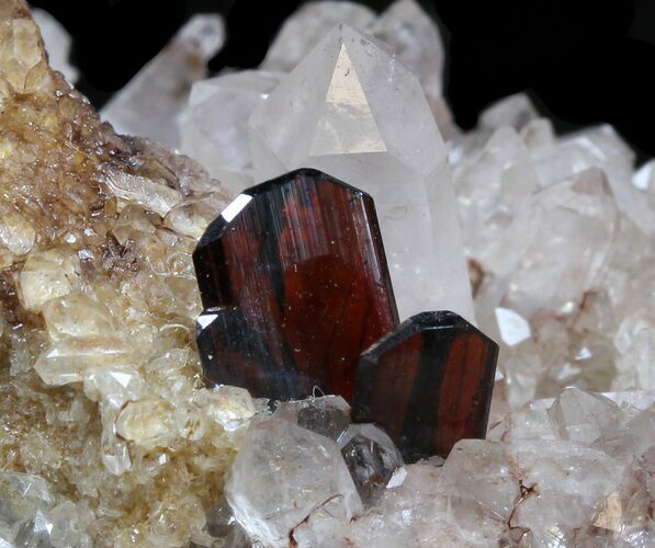 Brookite Crystals with Quartz on Matrix - Pakistan #38654